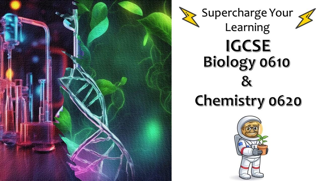 Group B IGCSE Chemistry Classes (YEAR 10) | Stageo